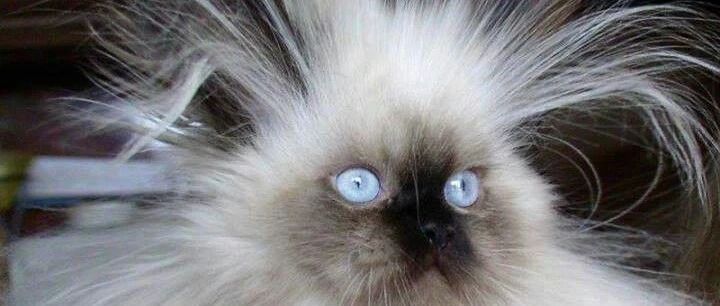 老公藏私房钱怎么办 发现私房钱正确处理方式