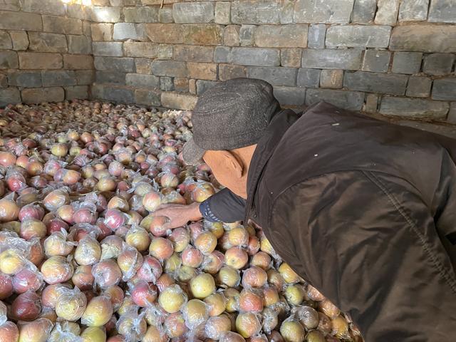 七旬老农2万斤苹果滞销,爱心人士伸出援手,1天时间卖出了900斤休闲区蓝鸢梦想 - Www.slyday.coM 七旬老农2万斤苹果滞销,爱心人士伸出援手,1天时间卖出了900斤休闲区蓝鸢梦想 - Www.slyday.coM