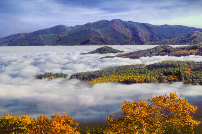 铁岭私人品茶店推荐——铁岭的那些秘密和旅行必去好去处