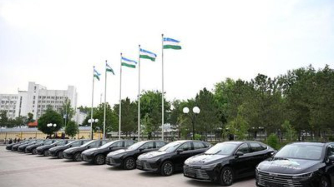 从“小迪”到“迪Sir” 印证中国新能源车海外的深度认可