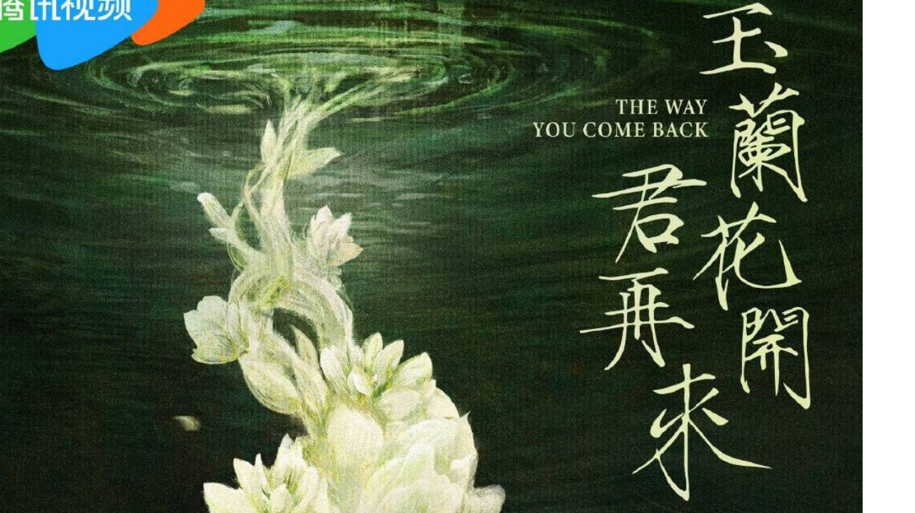 电视剧《玉兰花开君再来》官宣开机！杨紫领衔演绎女性成长史诗