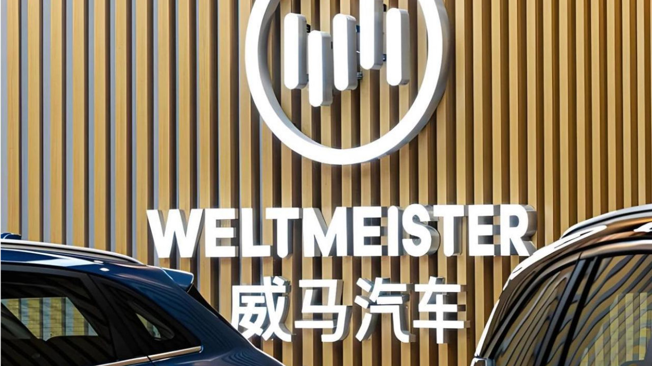 威马骚操作，斥资2亿成立新公司，葫芦里到底卖的什么药？