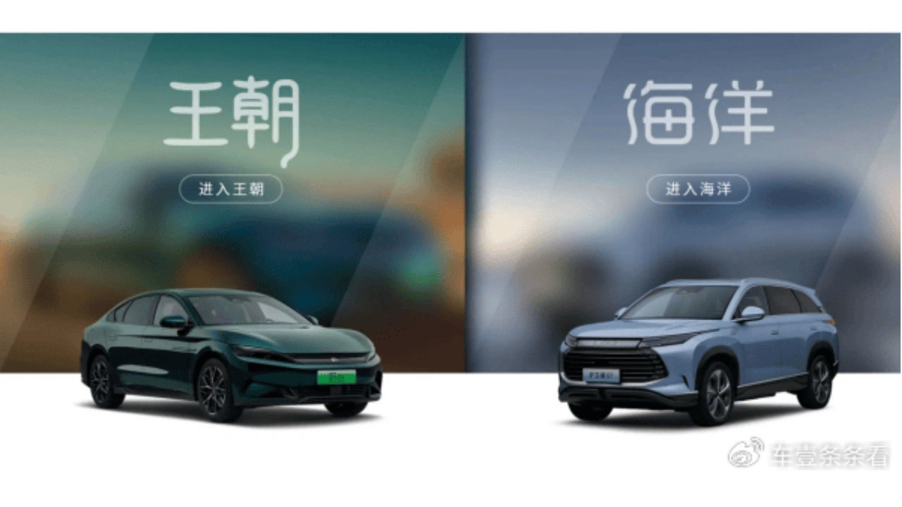 从宋PLUS到海狮06：迪王完成“惊险一跃”