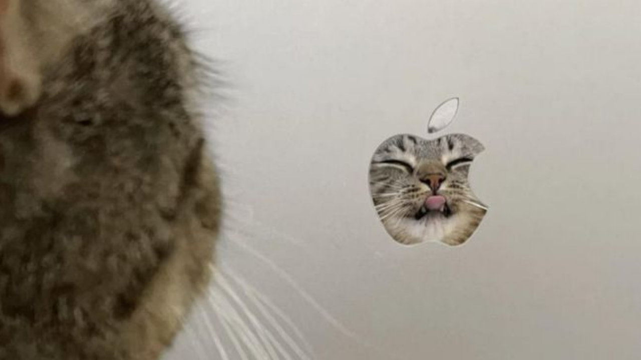 “隐藏款”代言咪？猫咪意外撞脸苹果Logo，连设计费都省了！