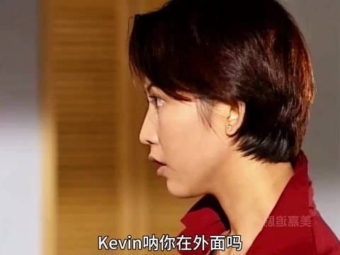 蔡少芬张家辉罗嘉良周海媚主演《天地豪情》剧情引热议