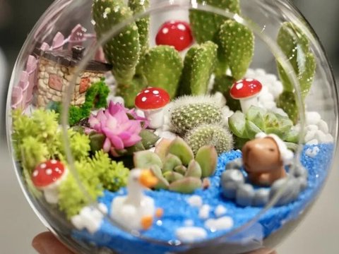 华兴 · 预告｜自然手工DIY！果壳摇铃、多肉微景观、压花台灯等手作活动治愈夏日时光