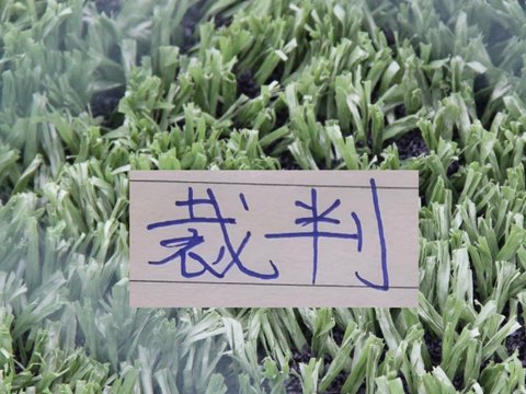 第22轮裁判安排！北京国安主裁判是任通 申花主裁是高鹏