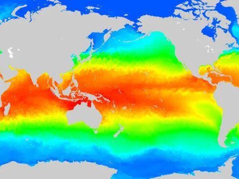 从万米高空的飞机上掉下来，怎样才能存活？｜博览日报