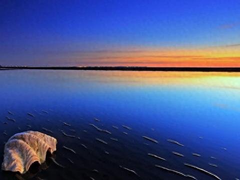 邬峭峰:鲨鱼的一枚眼睛 邬峭峰:鲨鱼的一枚眼睛