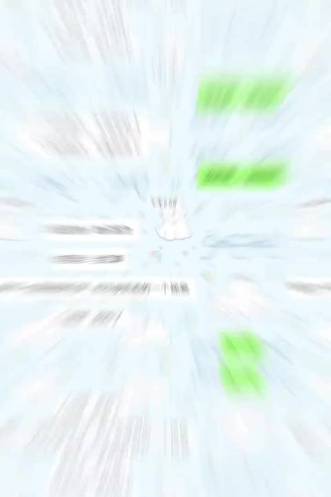 出道十余载，是否真诚，不必言说