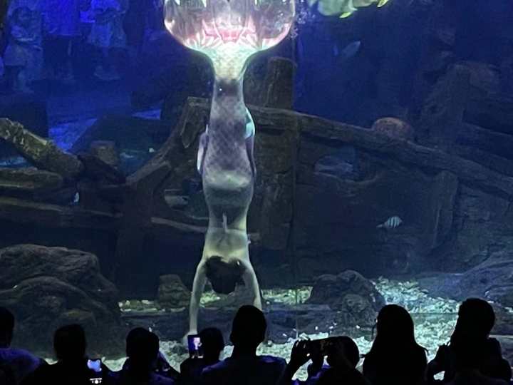 克服下水和被束缚的恐惧,25岁杭漂女孩的中秋节:我在杭州当美人鱼休闲区蓝鸢梦想 - Www.slyday.coM 克服下水和被束缚的恐惧,25岁杭漂女孩的中秋节:我在杭州当美人鱼休闲区蓝鸢梦想 - Www.slyday.coM