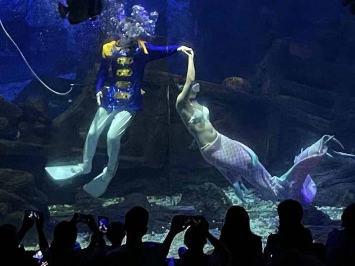 克服下水和被束缚的恐惧,25岁杭漂女孩的中秋节:我在杭州当美人鱼休闲区蓝鸢梦想 - Www.slyday.coM 克服下水和被束缚的恐惧,25岁杭漂女孩的中秋节:我在杭州当美人鱼休闲区蓝鸢梦想 - Www.slyday.coM