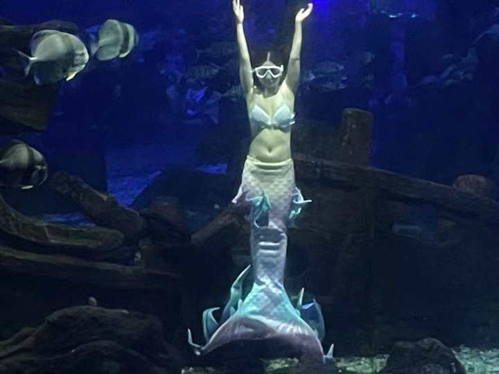 克服下水和被束缚的恐惧,25岁杭漂女孩的中秋节:我在杭州当美人鱼休闲区蓝鸢梦想 - Www.slyday.coM 克服下水和被束缚的恐惧,25岁杭漂女孩的中秋节:我在杭州当美人鱼休闲区蓝鸢梦想 - Www.slyday.coM