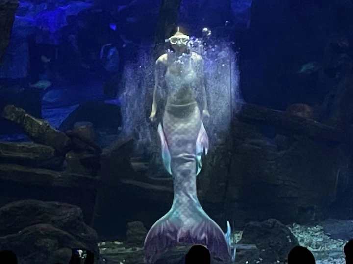 克服下水和被束缚的恐惧,25岁杭漂女孩的中秋节:我在杭州当美人鱼休闲区蓝鸢梦想 - Www.slyday.coM 克服下水和被束缚的恐惧,25岁杭漂女孩的中秋节:我在杭州当美人鱼休闲区蓝鸢梦想 - Www.slyday.coM