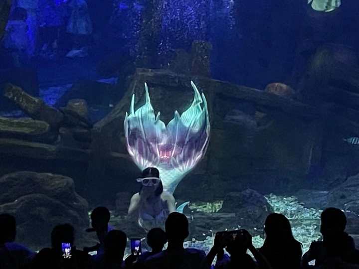 克服下水和被束缚的恐惧,25岁杭漂女孩的中秋节:我在杭州当美人鱼休闲区蓝鸢梦想 - Www.slyday.coM 克服下水和被束缚的恐惧,25岁杭漂女孩的中秋节:我在杭州当美人鱼休闲区蓝鸢梦想 - Www.slyday.coM