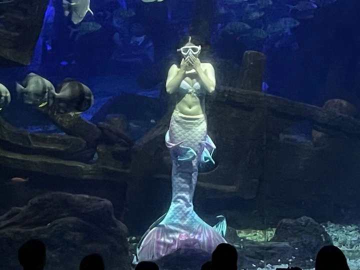 克服下水和被束缚的恐惧,25岁杭漂女孩的中秋节:我在杭州当美人鱼休闲区蓝鸢梦想 - Www.slyday.coM 克服下水和被束缚的恐惧,25岁杭漂女孩的中秋节:我在杭州当美人鱼休闲区蓝鸢梦想 - Www.slyday.coM