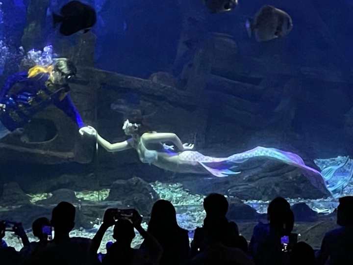 克服下水和被束缚的恐惧,25岁杭漂女孩的中秋节:我在杭州当美人鱼休闲区蓝鸢梦想 - Www.slyday.coM 克服下水和被束缚的恐惧,25岁杭漂女孩的中秋节:我在杭州当美人鱼休闲区蓝鸢梦想 - Www.slyday.coM