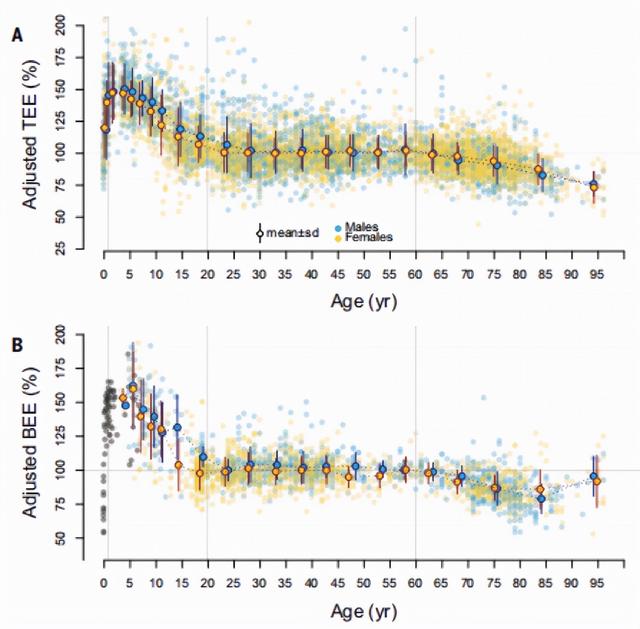 中年发福,怪代谢变慢?最新Science戳穿你的“幻觉”休闲区蓝鸢梦想 - Www.slyday.coM 中年发福,怪代谢变慢?最新Science戳穿你的“幻觉”休闲区蓝鸢梦想 - Www.slyday.coM