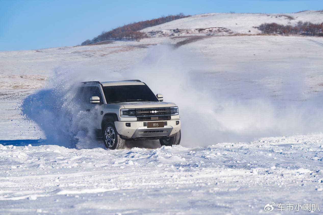 比亚迪方程豹案胜诉：“姚十八”侵权被判赔偿201万元