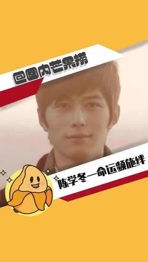 陈学冬 苦难 车祸