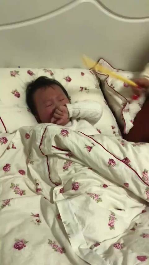 二岁2个月入坑国粹