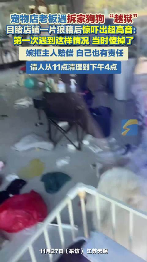 宠物店老板遇拆家狗狗“越狱” 目睹店铺一片狼藉后惊吓出超高音