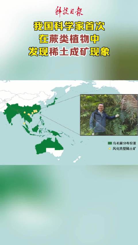 我国科学家首次在蕨类植物中发现稀土成矿现象