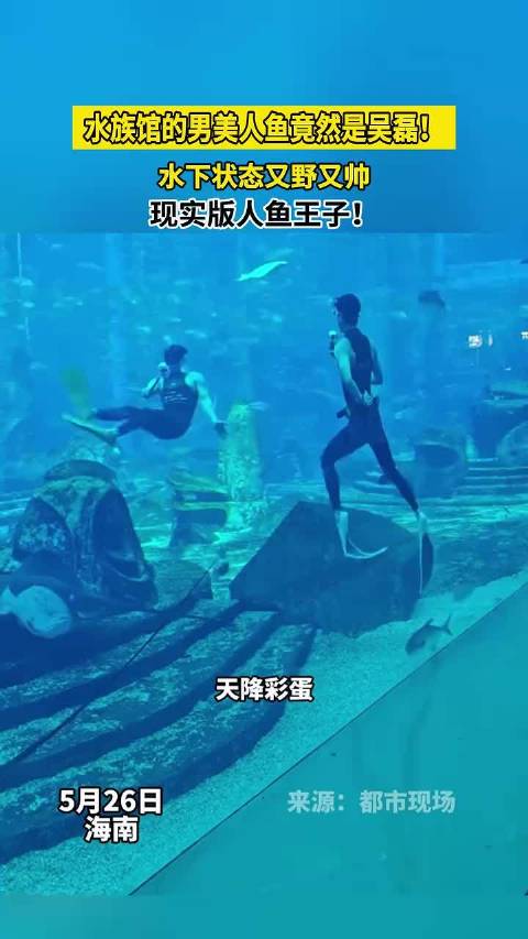 水族馆的男美人鱼竟然是吴磊！
