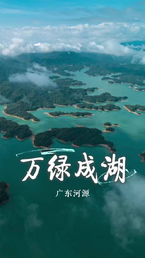 万绿成湖 ‌宁静致远‌ | 岭南行记