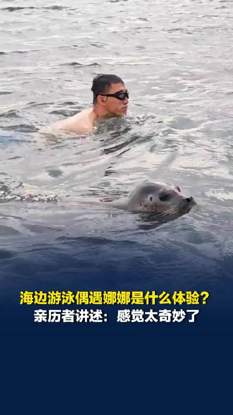 海边游泳偶遇娜娜是什么体验？亲历者讲述：感觉太奇妙了，它就像一个精灵