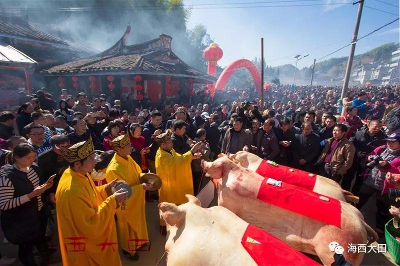 12月7日,大田屏山美阳村又将迎来晒猪节!