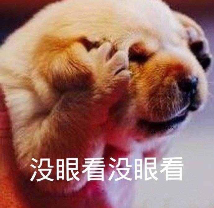 表情包 没眼看没眼看_高清图集_新浪网
