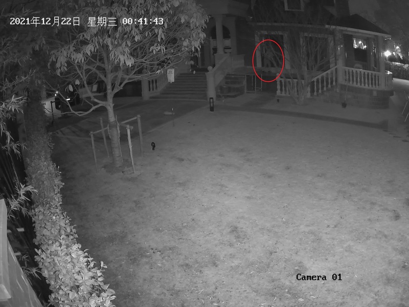 上海一男子专找别墅下手,多次翻窗入室盗窃,已被抓获休闲区蓝鸢梦想 - Www.slyday.coM 上海一男子专找别墅下手,多次翻窗入室盗窃,已被抓获休闲区蓝鸢梦想 - Www.slyday.coM