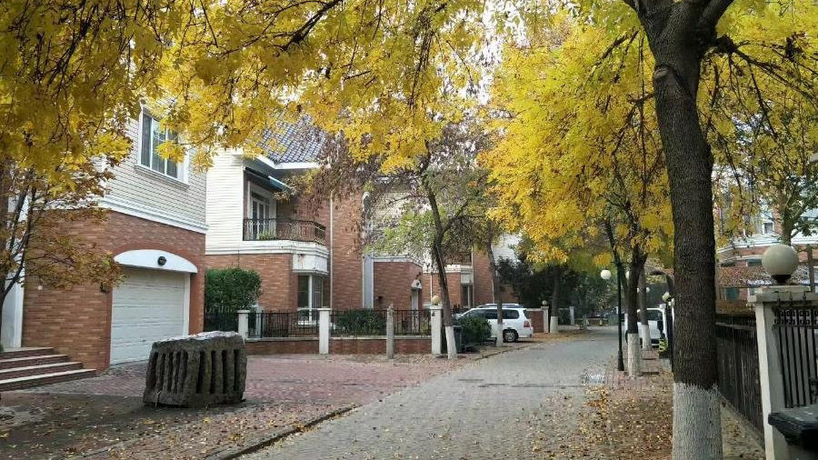 猫头鹰车志：广汽冯兴亚人大将提对新能源车持续补贴建议