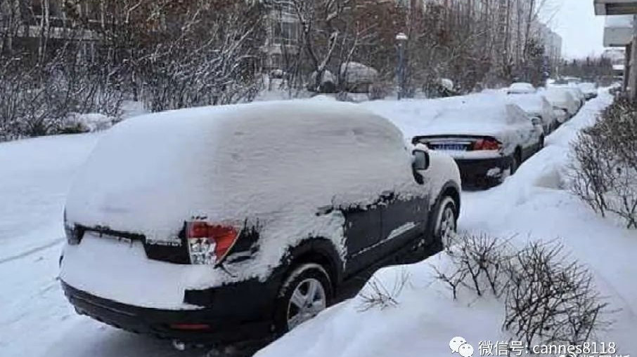 新能源汽车冬测，行业如何良币驱逐劣币？