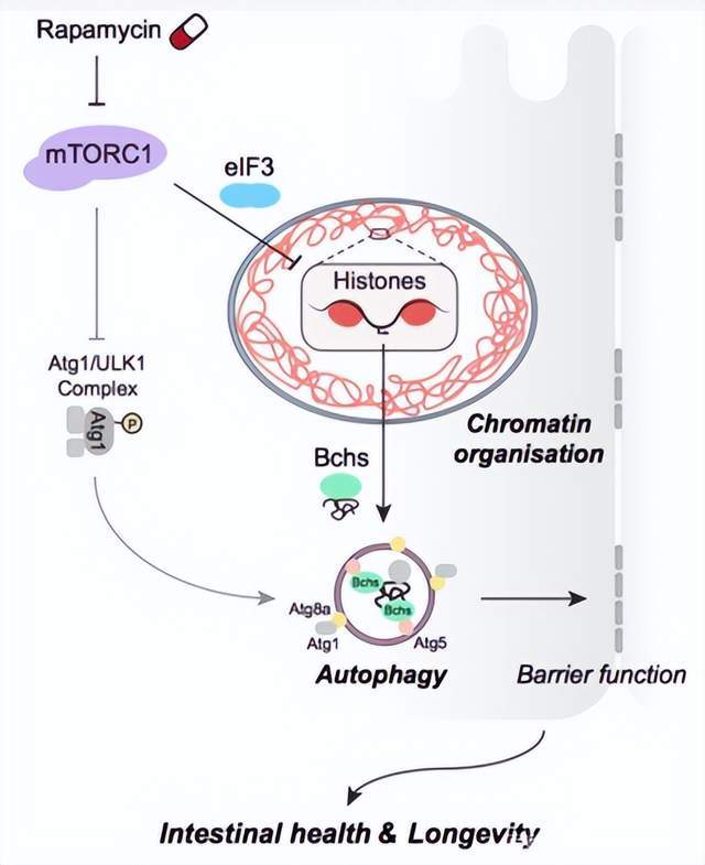 抗衰老护肤品哪家强 公认好用的抗皱品牌推荐