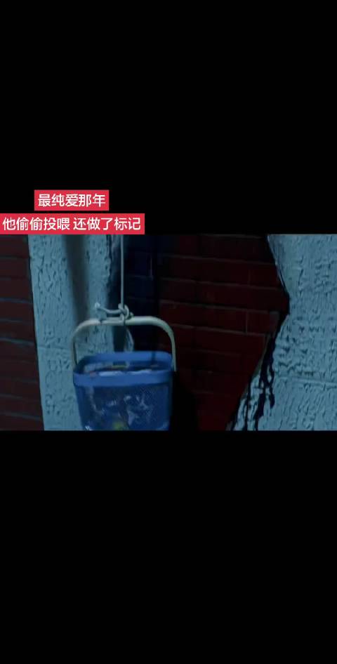 细节这一块！少年派 林妙妙 赵今麦 流量扶持 @DOU+上热门