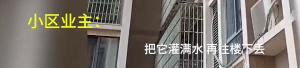 男子拍到邻居从21楼高空抛物,兴奋大喊:我终于拍到了!休闲区蓝鸢梦想 - Www.slyday.coM 男子拍到邻居从21楼高空抛物,兴奋大喊:我终于拍到了!休闲区蓝鸢梦想 - Www.slyday.coM