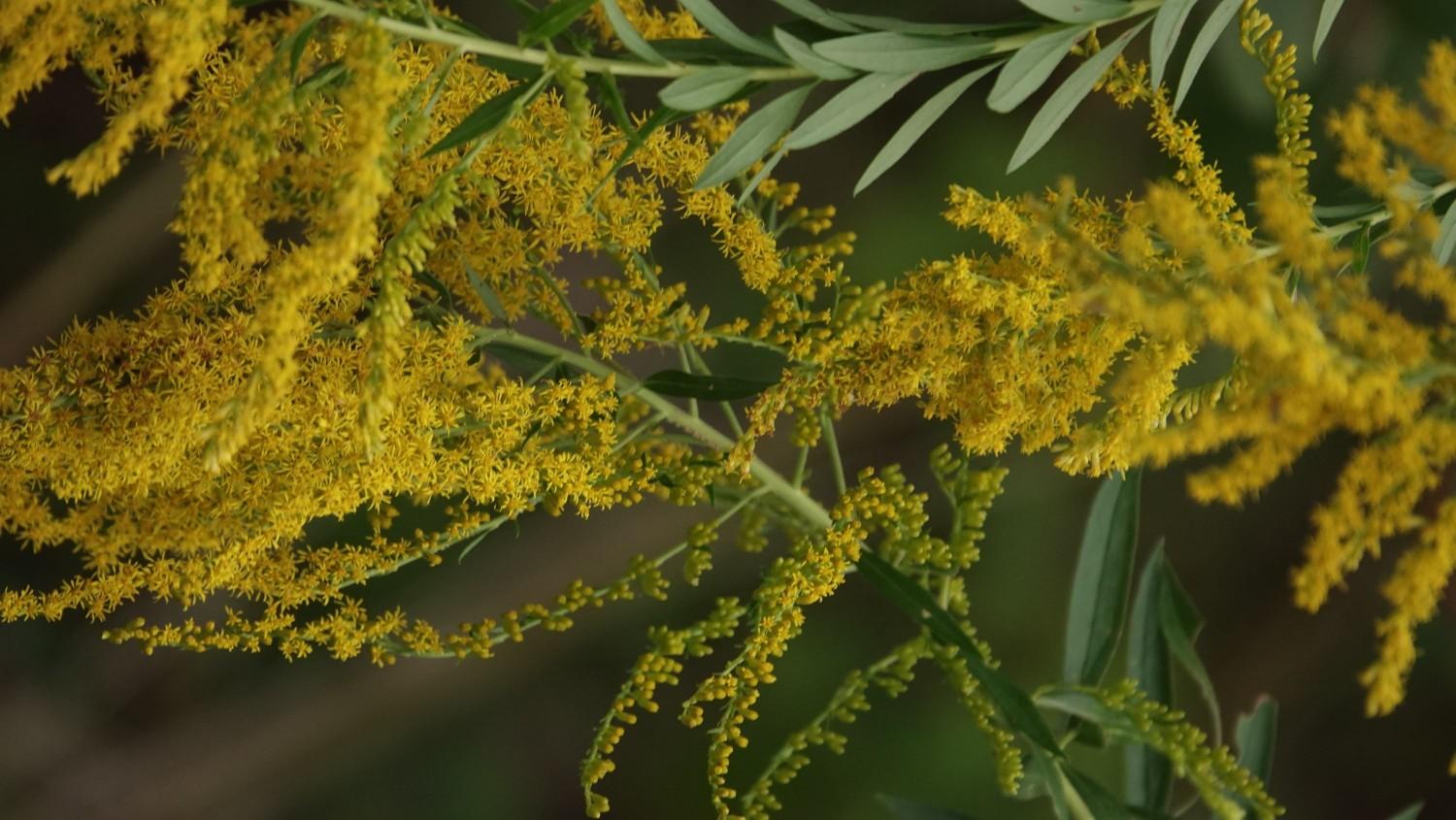 转发扩散！为武汉围剿“<a href=