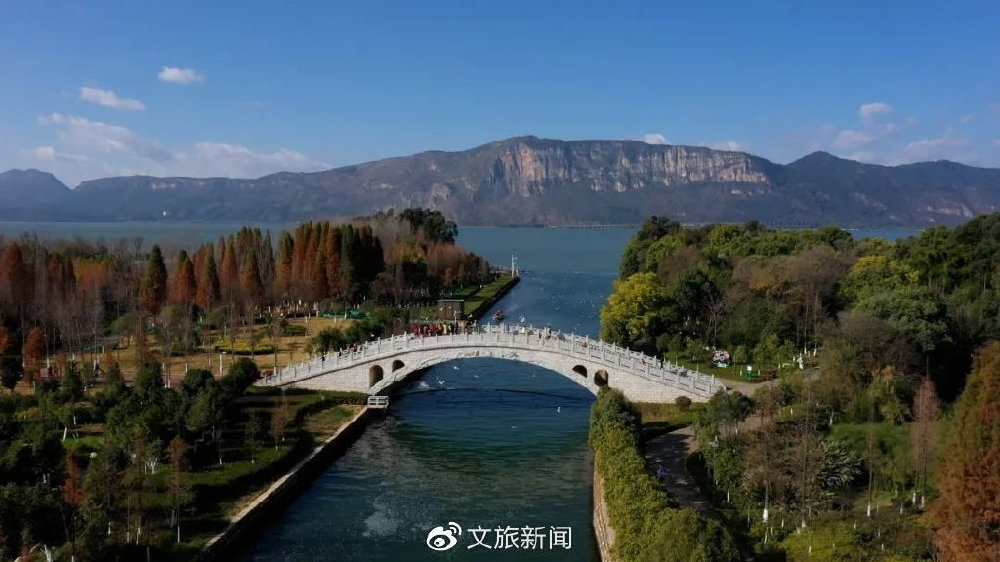 成效显著 滇池环湖植被覆盖率超81%|滇池|昆明市_新浪新闻