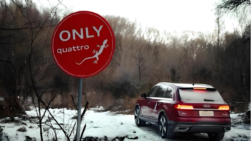 美不美看大腿，四驱性能车蝎里虎子腿