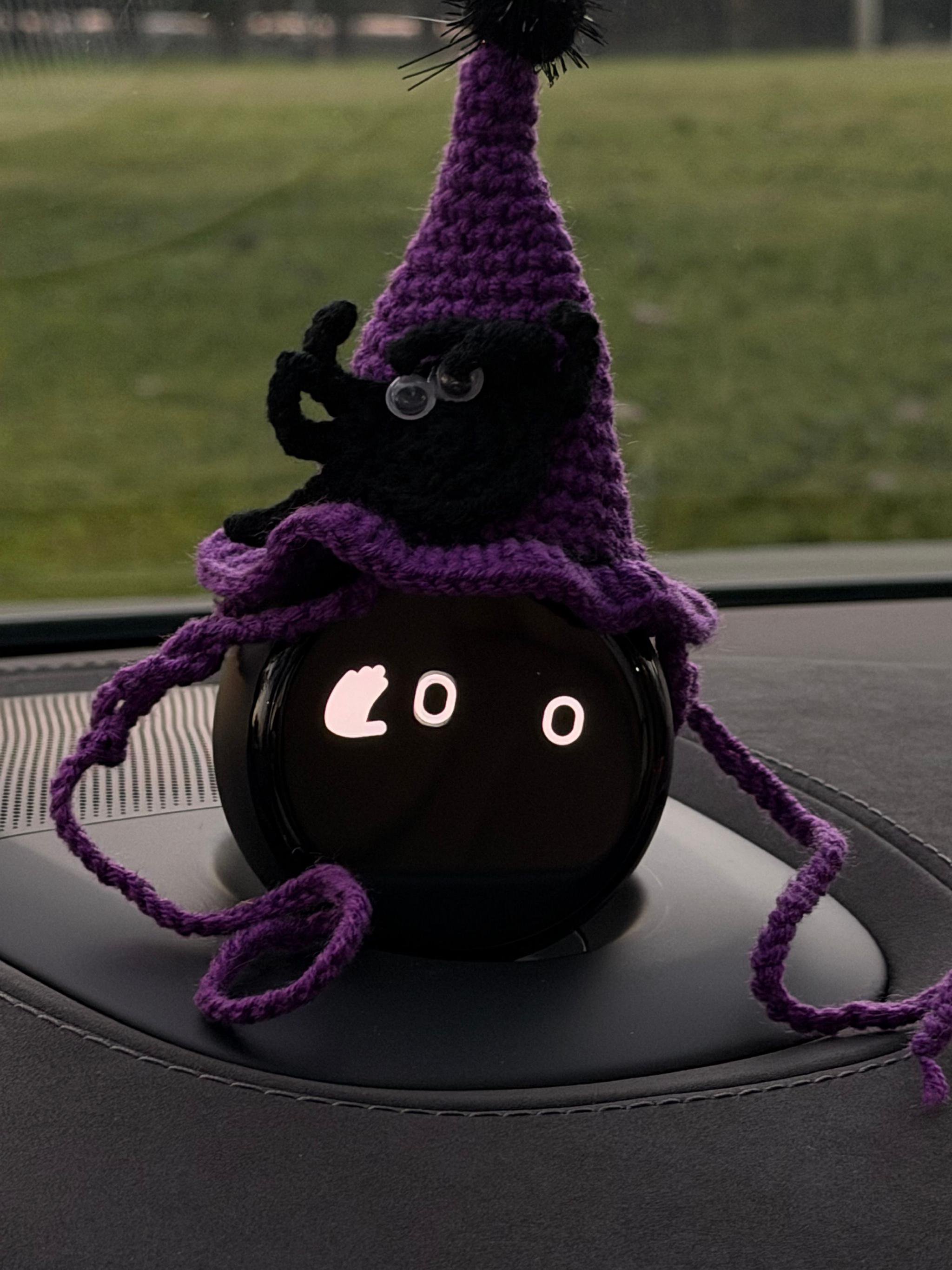 新车主千万别给NOMI买帽子，因为真的会上瘾！过万圣节都要新帽子