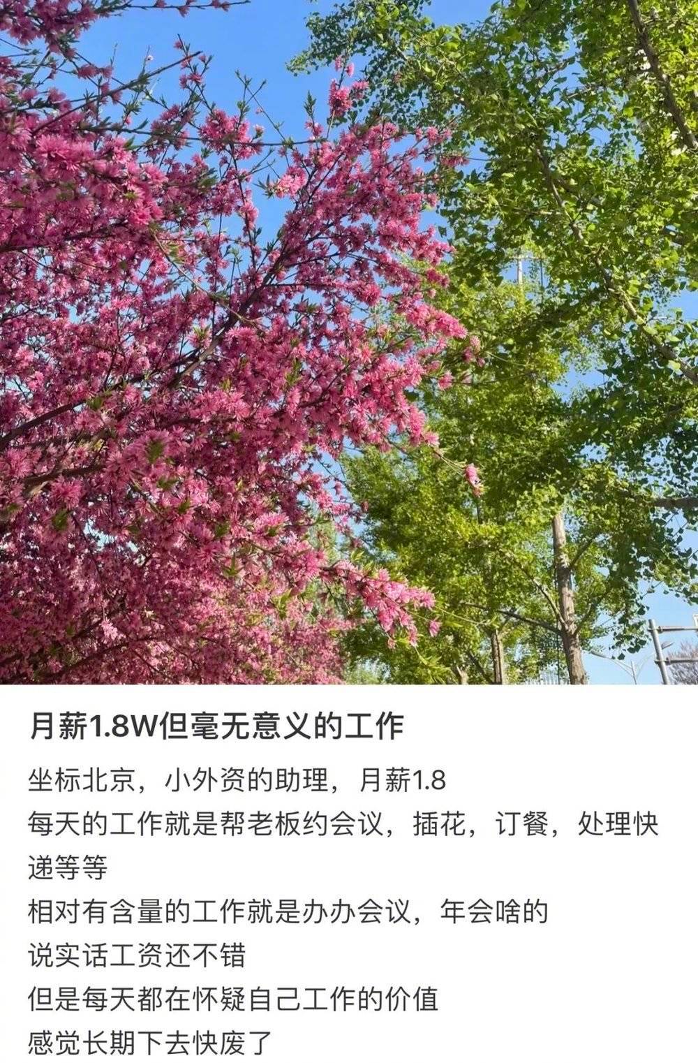 月薪1.8万但毫无意义的工作,你愿意做吗?休闲区蓝鸢梦想 - Www.slyday.coM 月薪1.8万但毫无意义的工作,你愿意做吗?休闲区蓝鸢梦想 - Www.slyday.coM