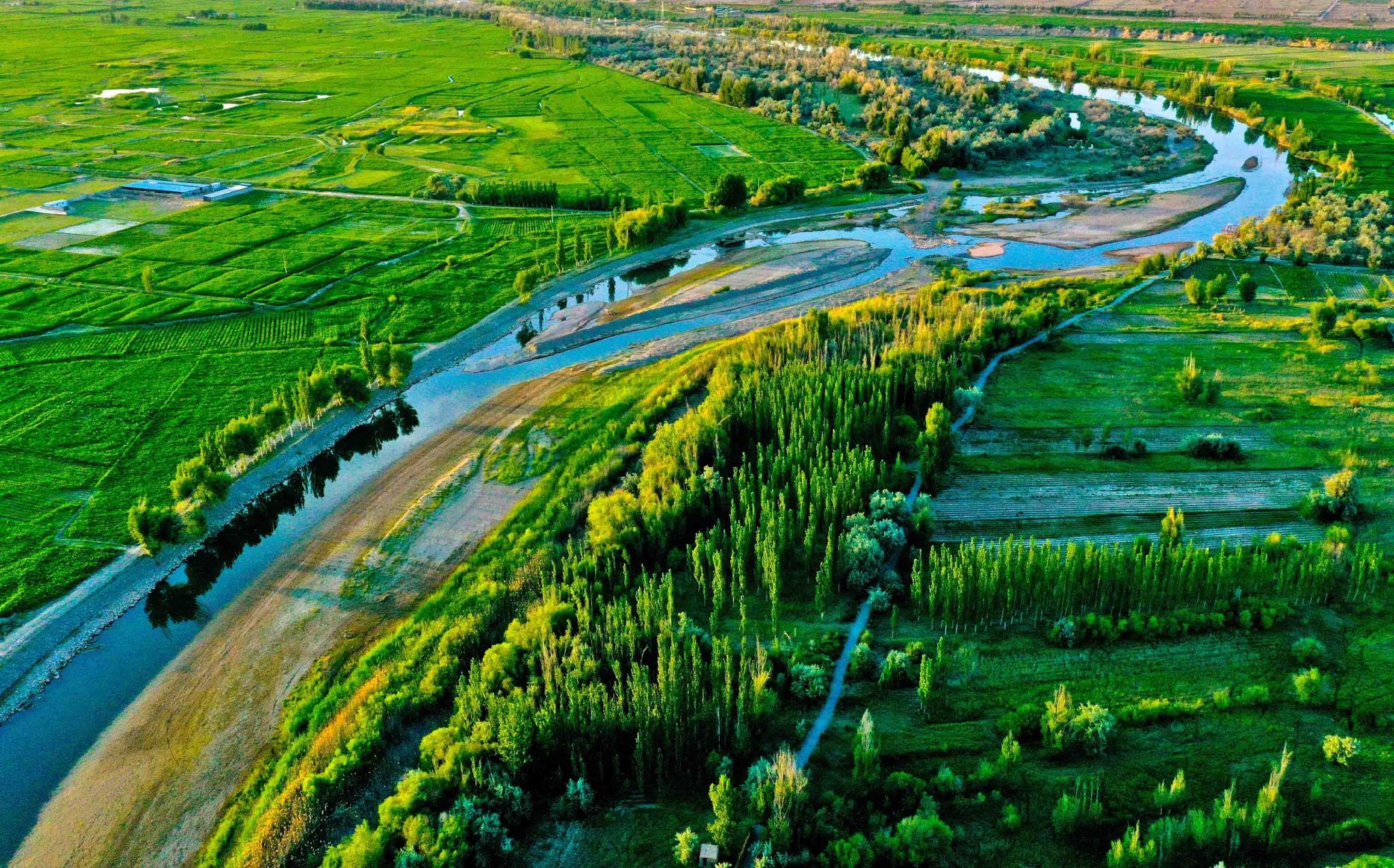 生态环境如何保护 中国环境污染事件有哪些