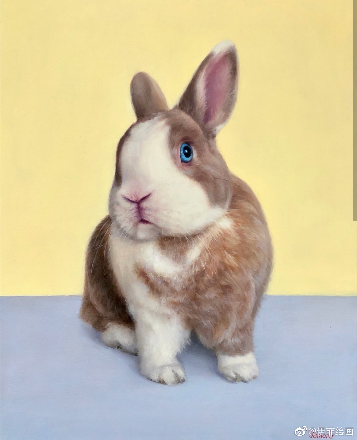 手绘油画萌宠 兔子