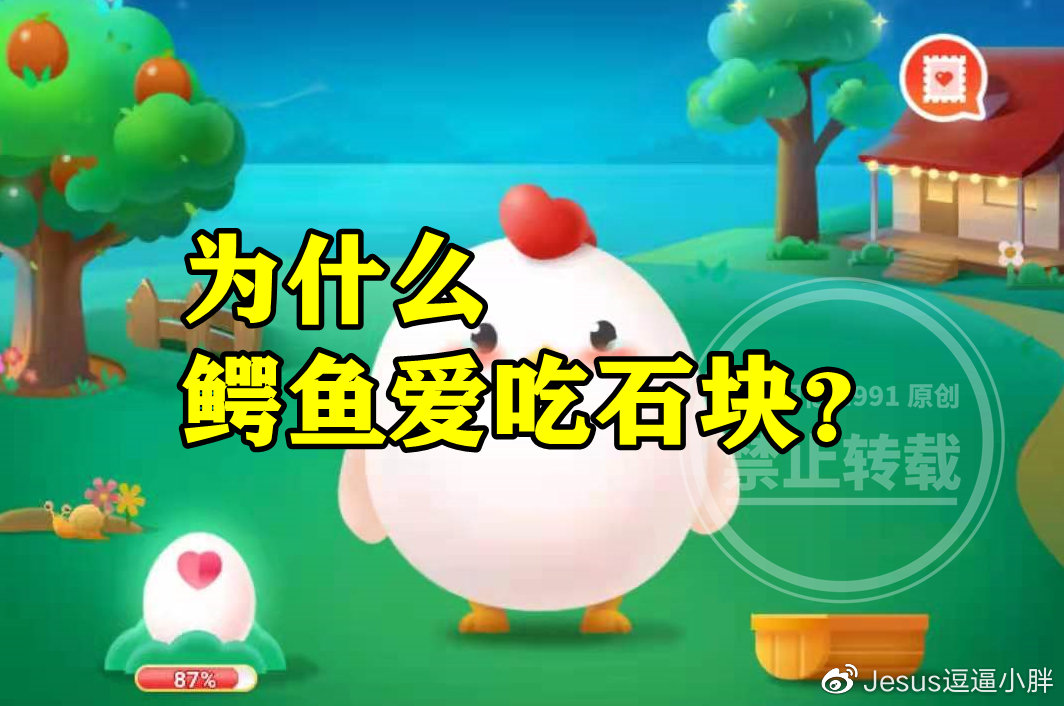 广州最大助孕公司(蚂蚁庄园鳄鱼爱吃石块答案 为什么鳄鱼爱吃石块是为了帮助消化吗?)