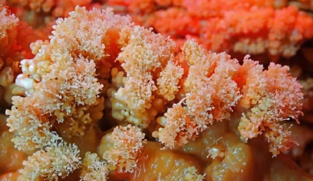 降温天气下的小温暖~来淄博这些地方开启一场奇妙之旅!休闲区蓝鸢梦想 - Www.slyday.coM 降温天气下的小温暖~来淄博这些地方开启一场奇妙之旅!休闲区蓝鸢梦想 - Www.slyday.coM