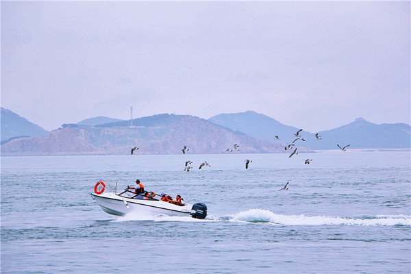 夏日出逃计划,威海奇幻旅行,海边野餐,游艇出海,探寻海鸥王国秘密