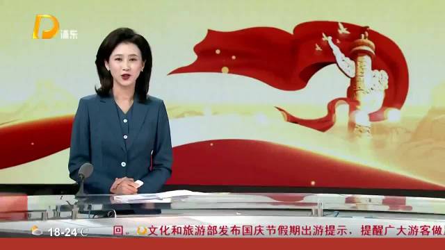 “政策+活动”双轮驱动 浦东打造“黄金周”汽车消费嘉年华