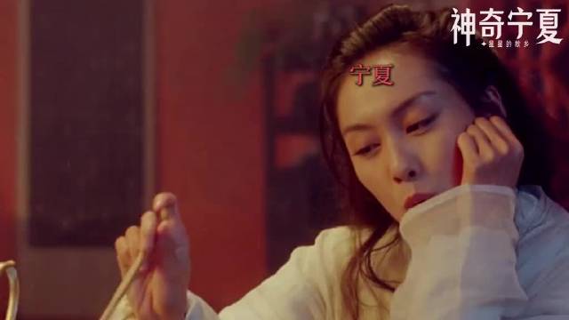 一生所爱皆为宁夏